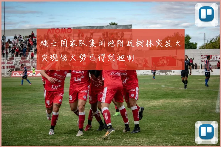 瑞士国家队集训地附近树林突发火灾现场火势已得到控制