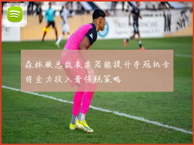 森林狼总裁表示若能提升夺冠机会将全力投入奢侈税策略